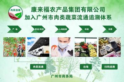 什么是省重點(diǎn)農(nóng)業(yè)龍頭企業(yè)?康來(lái)福獲取評(píng)選都做對(duì)了哪些事?