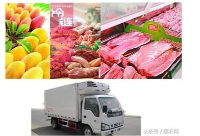 掘金|現(xiàn)在做農(nóng)業(yè),這6大機(jī)會(huì)你必須要知道