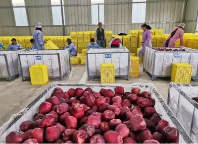 大數(shù)據(jù)背景下農(nóng)產(chǎn)品冷鏈物流模式的缺點(diǎn)分析