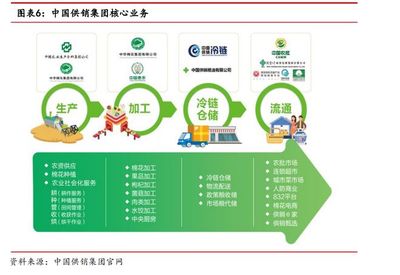 公告提示多重風(fēng)險(xiǎn)！供銷社概念龍頭八連板，產(chǎn)品流通服務(wù)引關(guān)注