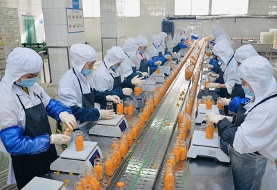 以果蔬加工為引擎，構(gòu)建農(nóng)企雙贏的產(chǎn)品流通新生態(tài)