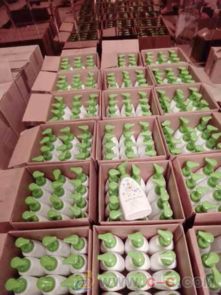 馬來(lái)西亞日用品高效進(jìn)口全攻略 空運(yùn)快遞與產(chǎn)品流通一站式服務(wù)